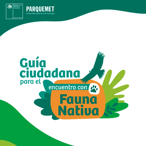 Guía ciudadana para el encuentro con fauna nativa 