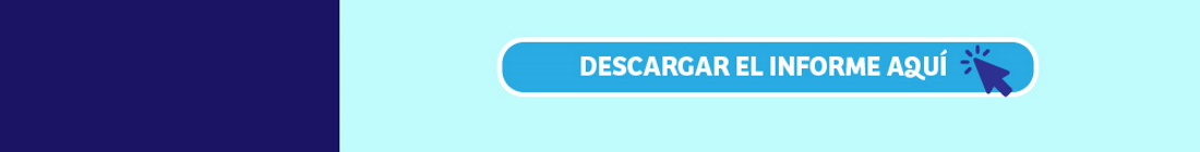 informe de tomas de terreno