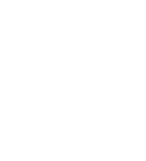 descripcion