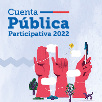 cuenta publica