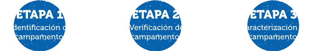 Etapas