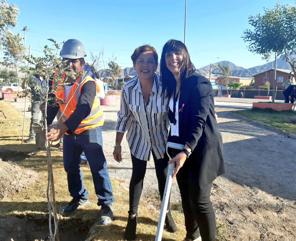 Minvu y comunidad inician obras de futuro Parque Urbano “Llanos de Ollantay” en Copiapó