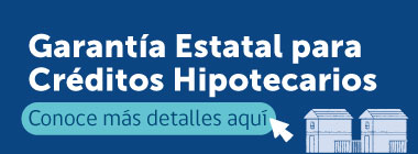 http://Garantía%20estatal