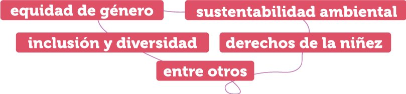 equidad de género, sustentabilidad ambiental, inclusión y diversidad, derechos de la niñez, adolescencia, entre otros