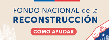 http://Fondo%20nacional%20de%20la%20reconstruccion