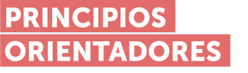 principios orientados