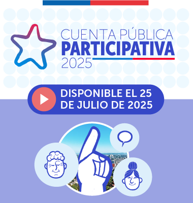 cuenta publica 2025
