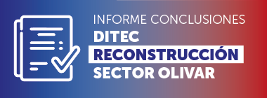 Informe conclusiones el olivar