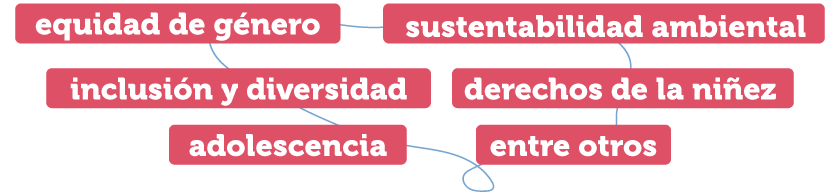 equidad de género, sustentabilidad ambiental, inclusión y diversidad, derechos de la niñez, adolescencia, entre otros