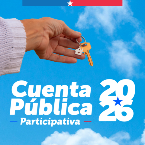 cuenta publica