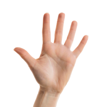 ¿QUÉ ES UNA CUENTA PÚBLICA PARTICIPATIVA?